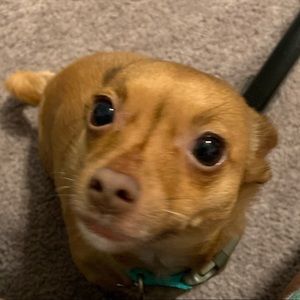 Meet your Posher, Bria